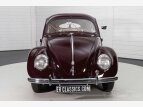 Thumbnail Photo 7 for 1950 Volkswagen Beetle